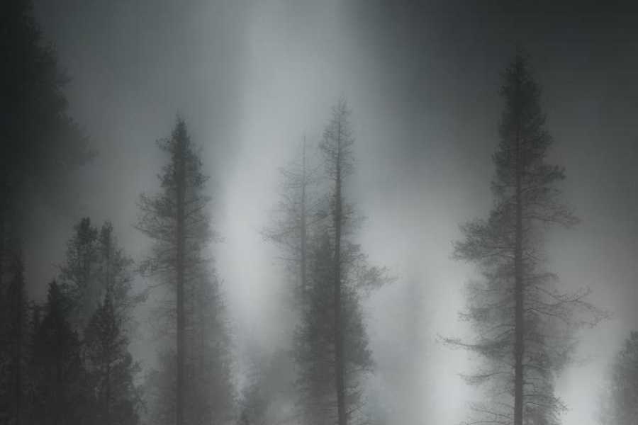 Квест в реальности Полнейшее взаперти, или Не бойся, я с тобой от компании Квест Вест Квест в реальности Полнейшее взаперти, или Не бойся, я с тобой от компании Квест Вест